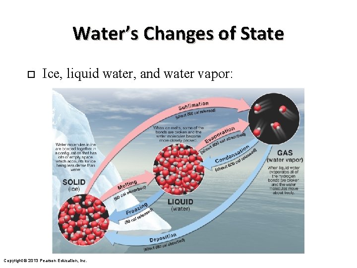 Water’s Changes of State ¨ Ice, liquid water, and water vapor: Copyright © 2013