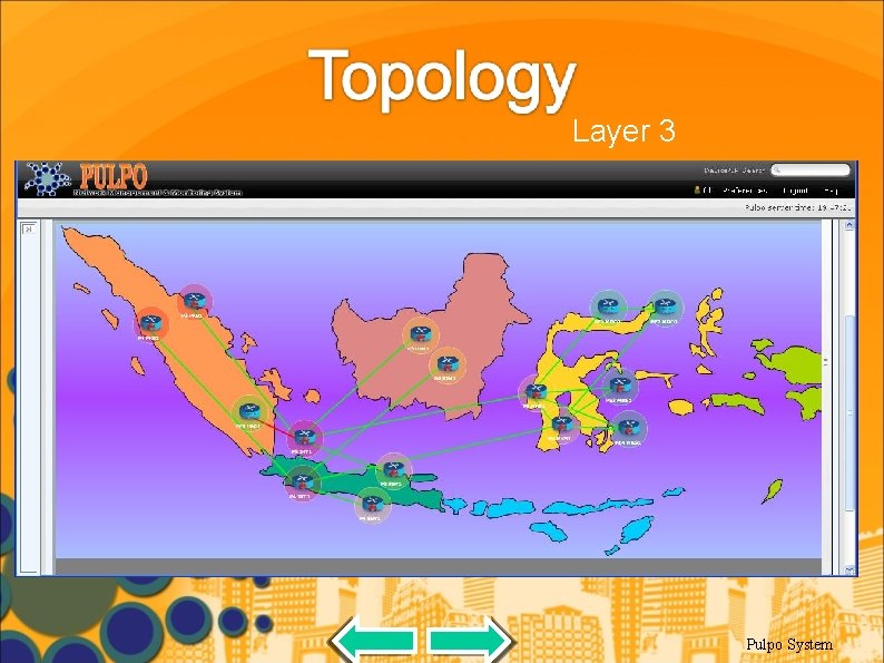 Layer 3 Pulpo System 