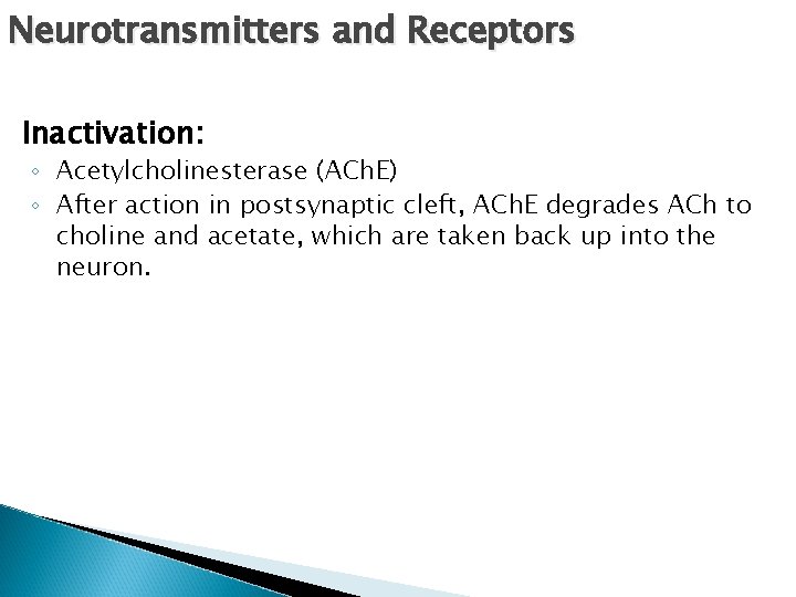 Neurotransmitters and Receptors Inactivation: ◦ Acetylcholinesterase (ACh. E) ◦ After action in postsynaptic cleft,