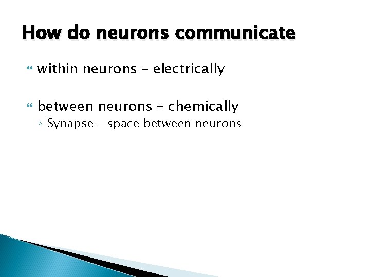 How do neurons communicate within neurons – electrically between neurons – chemically ◦ Synapse