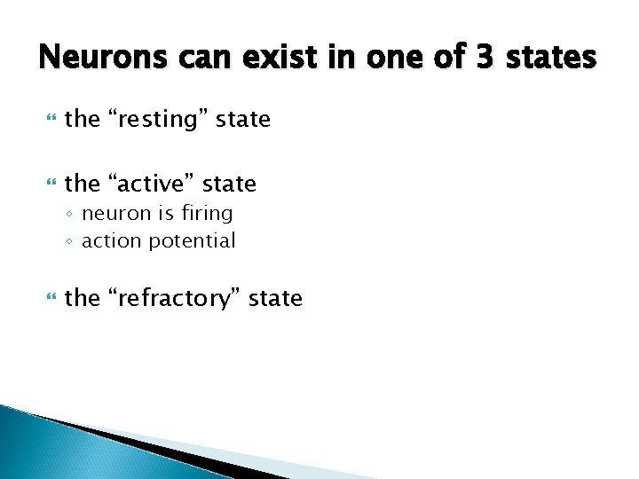 Neurons can exist in one of 3 states the “resting” state the “active” state