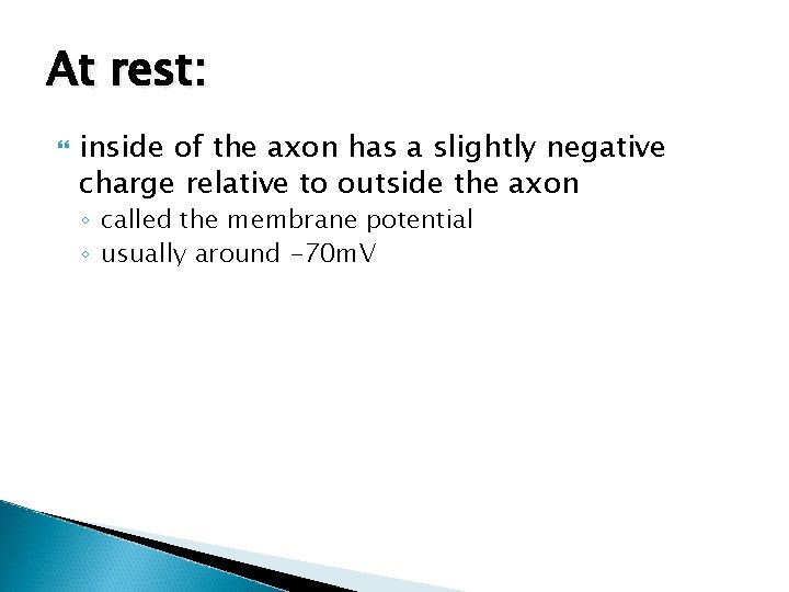 At rest: inside of the axon has a slightly negative charge relative to outside