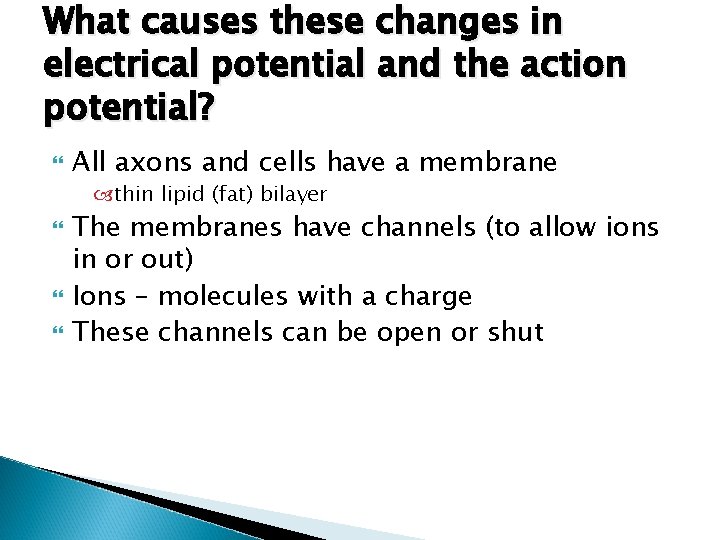What causes these changes in electrical potential and the action potential? All axons and