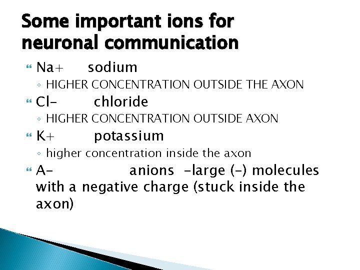 Some important ions for neuronal communication Na+ sodium ◦ HIGHER CONCENTRATION OUTSIDE THE AXON