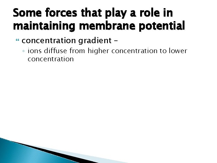 Some forces that play a role in maintaining membrane potential concentration gradient – ◦