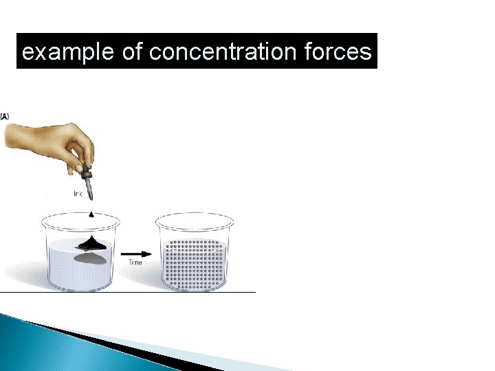 example of concentration forces 