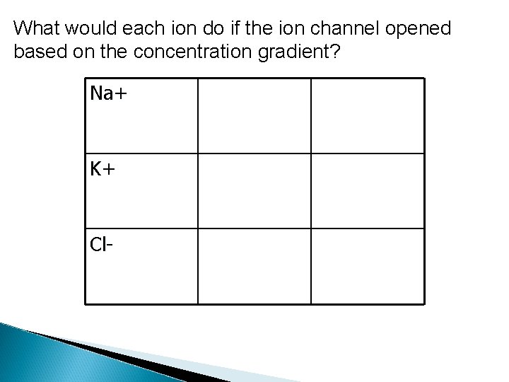 What would each ion do if the ion channel opened based on the concentration