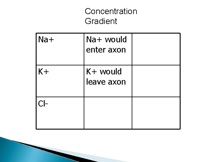 Concentration Gradient Na+ would enter axon K+ K+ would leave axon Cl- 