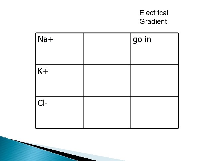 Electrical Gradient Na+ K+ Cl- go in 