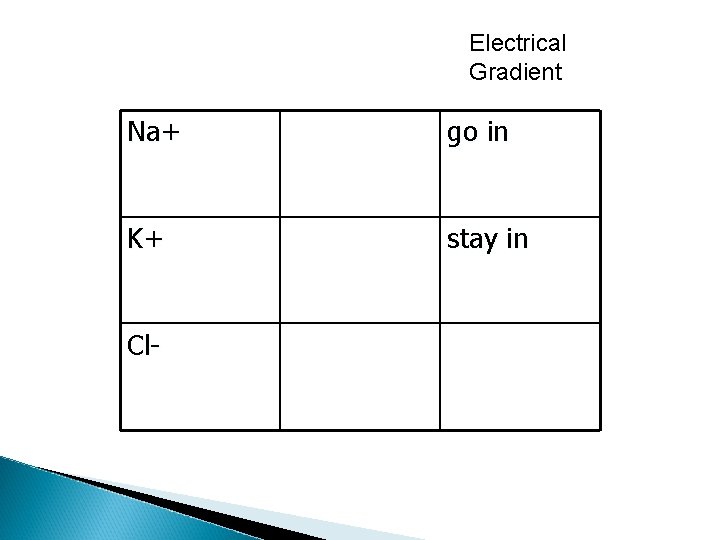 Electrical Gradient Na+ go in K+ stay in Cl- 