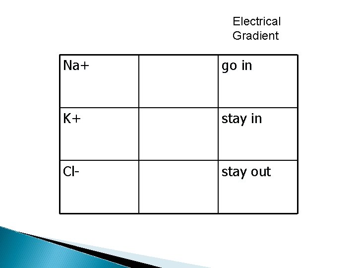 Electrical Gradient Na+ go in K+ stay in Cl- stay out 