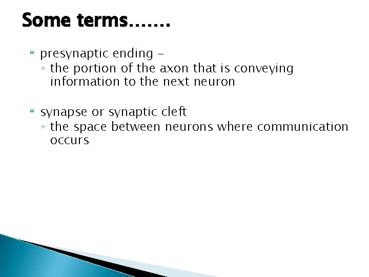 Some terms……. presynaptic ending – ◦ the portion of the axon that is conveying