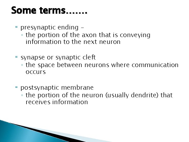 Some terms……. presynaptic ending – ◦ the portion of the axon that is conveying