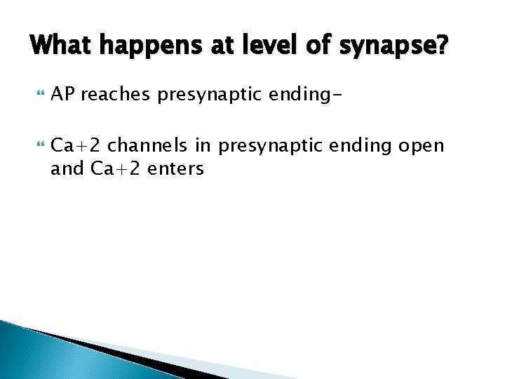 What happens at level of synapse? AP reaches presynaptic ending. Ca+2 channels in presynaptic