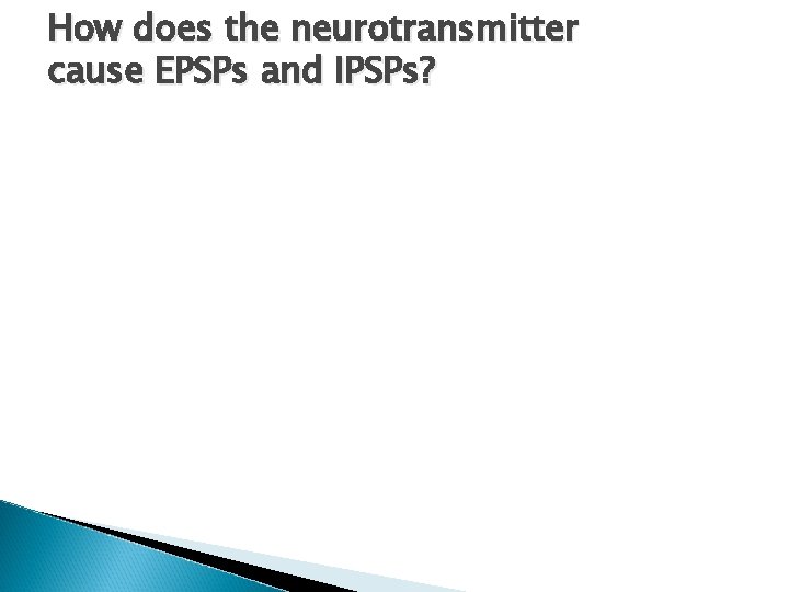 How does the neurotransmitter cause EPSPs and IPSPs? 