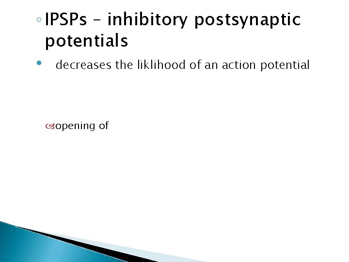 ◦ IPSPs – inhibitory postsynaptic potentials • decreases the liklihood of an action potential