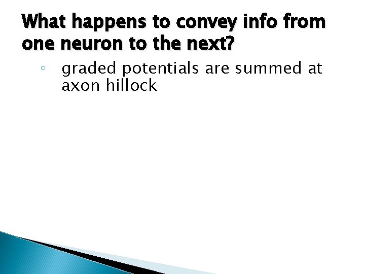 What happens to convey info from one neuron to the next? ◦ graded potentials