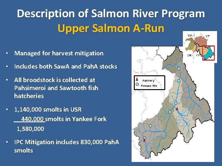 Description of Salmon River Program Upper Salmon A-Run • Managed for harvest mitigation •