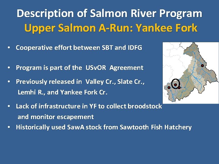 Description of Salmon River Program Upper Salmon A-Run: Yankee Fork • Cooperative effort between