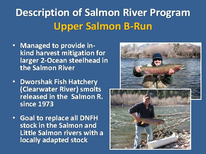 Description of Salmon River Program Upper Salmon B-Run • Managed to provide inkind harvest