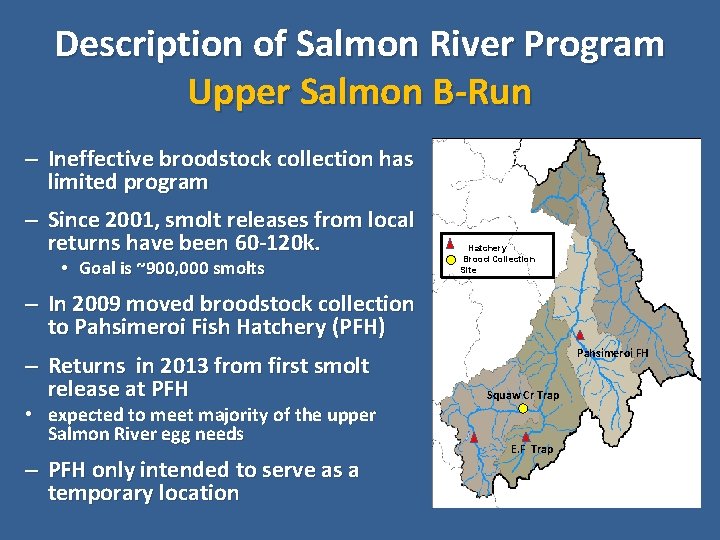 Description of Salmon River Program Upper Salmon B-Run – Ineffective broodstock collection has limited