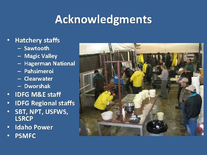 Acknowledgments • Hatchery staffs – – – Sawtooth Magic Valley Hagerman National Pahsimeroi Clearwater