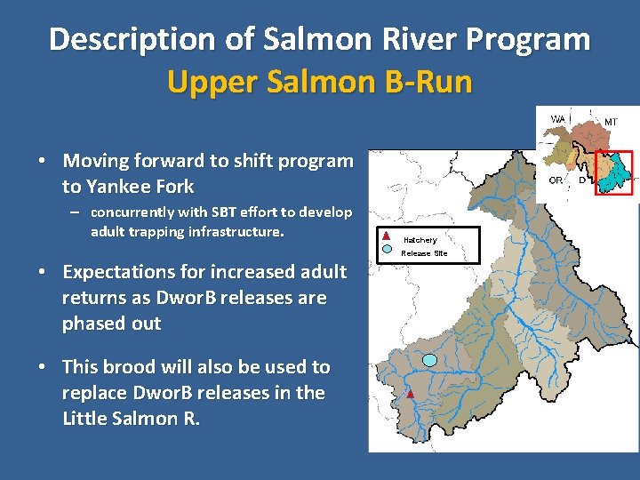 Description of Salmon River Program Upper Salmon B-Run • Moving forward to shift program