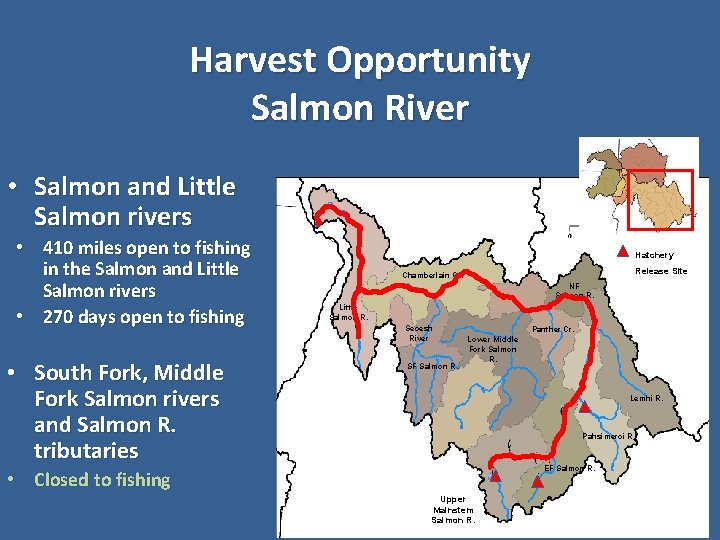 Harvest Opportunity Salmon River • Salmon and Little Salmon rivers • 410 miles open