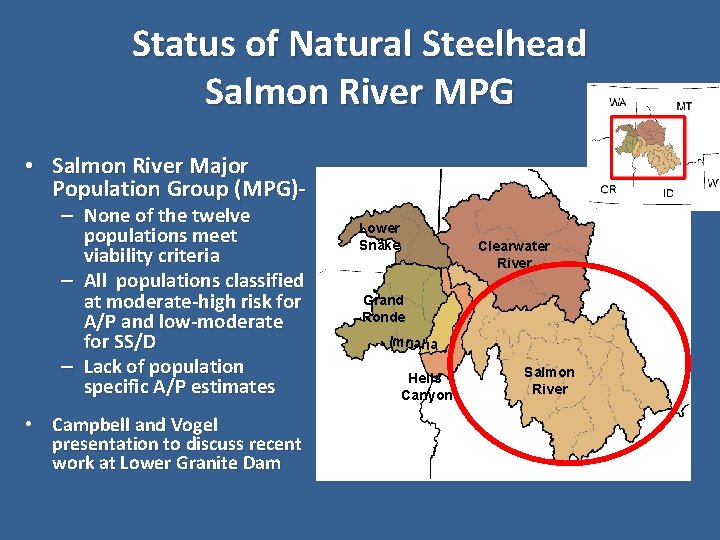 Status of Natural Steelhead Salmon River MPG • Salmon River Major Population Group (MPG)–