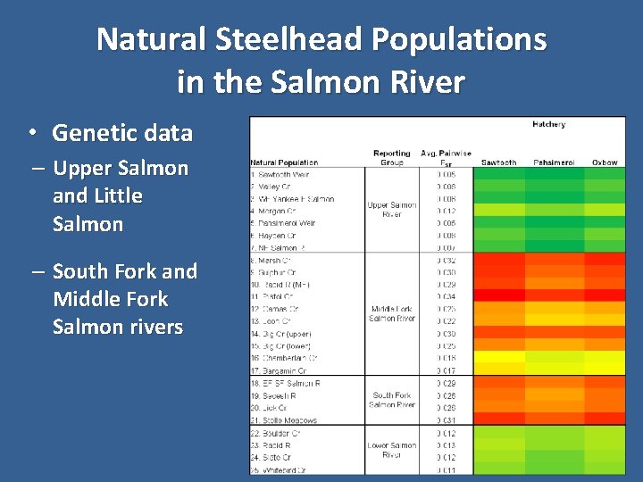 Natural Steelhead Populations in the Salmon River • Genetic data – Upper Salmon and