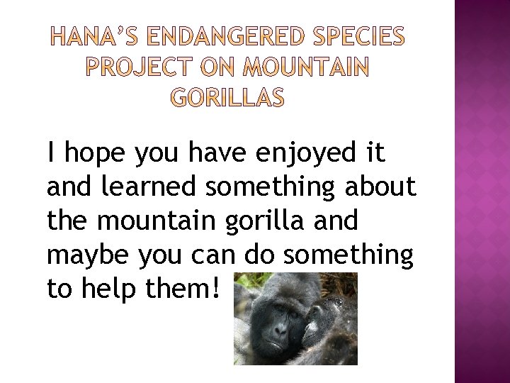 I hope you have enjoyed it and learned something about the mountain gorilla and