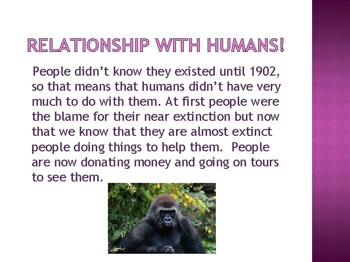 RELATIONSHIP WITH HUMANS! People didn’t know they existed until 1902, so that means that