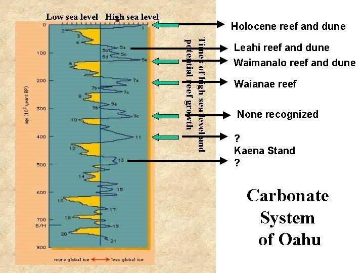 Holocene reef and dune Leahi reef and dune Waimanalo reef and dune Waianae reef