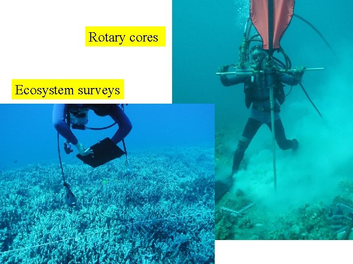 Rotary cores Ecosystem surveys 