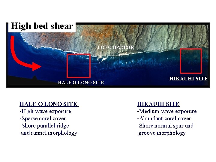 High bed shear LONO HARBOR HALE O LONO SITE: -High wave exposure -Sparse coral