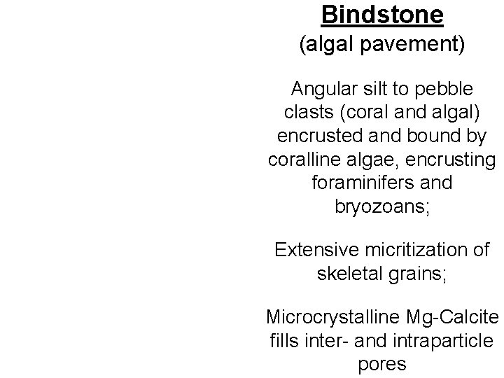 Bindstone (algal pavement) Angular silt to pebble clasts (coral and algal) encrusted and bound