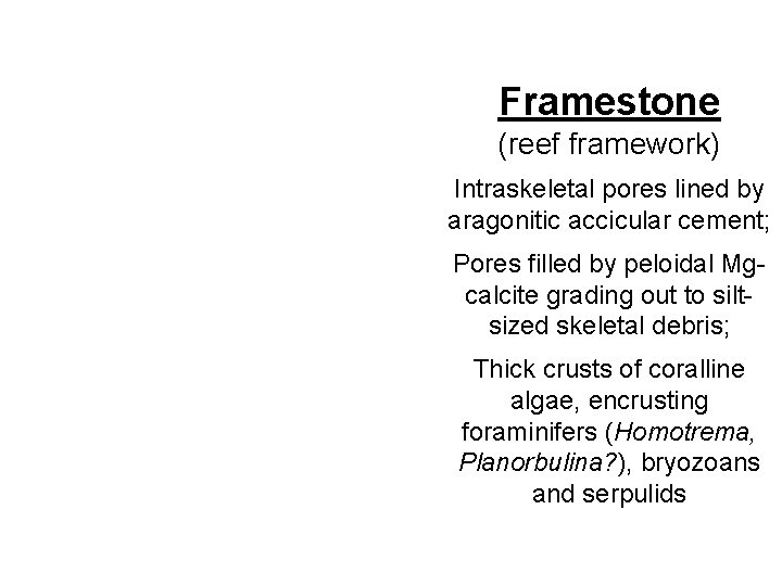 Framestone (reef framework) Intraskeletal pores lined by aragonitic accicular cement; Pores filled by peloidal