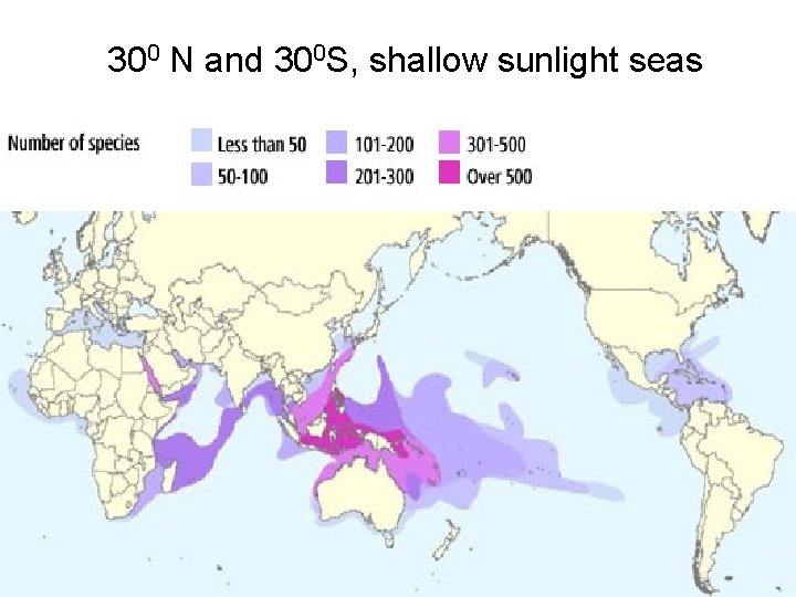 300 N and 300 S, shallow sunlight seas 