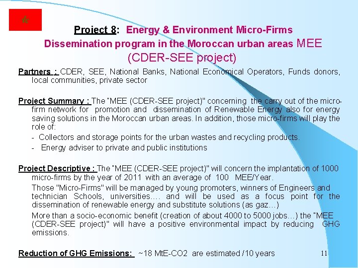  Project 8: Project 8 Energy & Environment Micro-Firms Dissemination program in the Moroccan