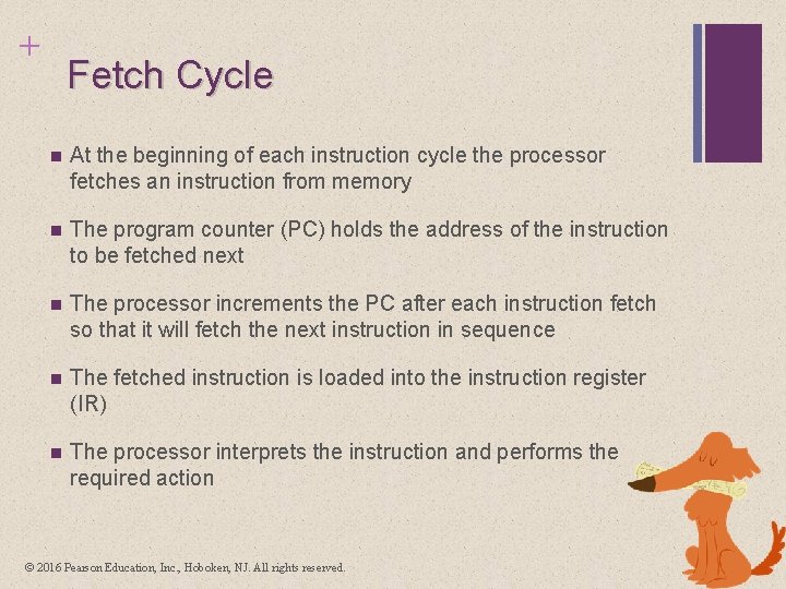 + Fetch Cycle n At the beginning of each instruction cycle the processor fetches