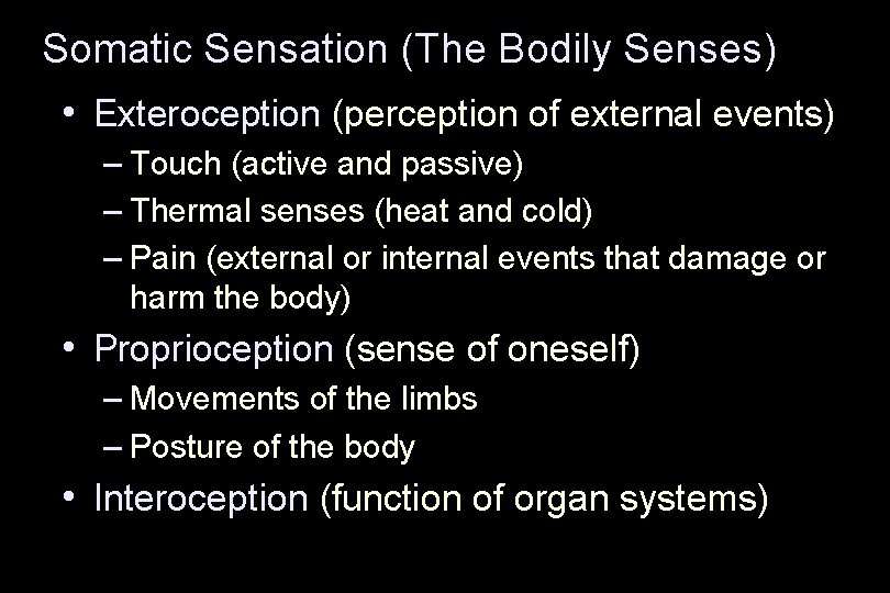 Somatic Sensation (The Bodily Senses) • Exteroception (perception of external events) – Touch (active