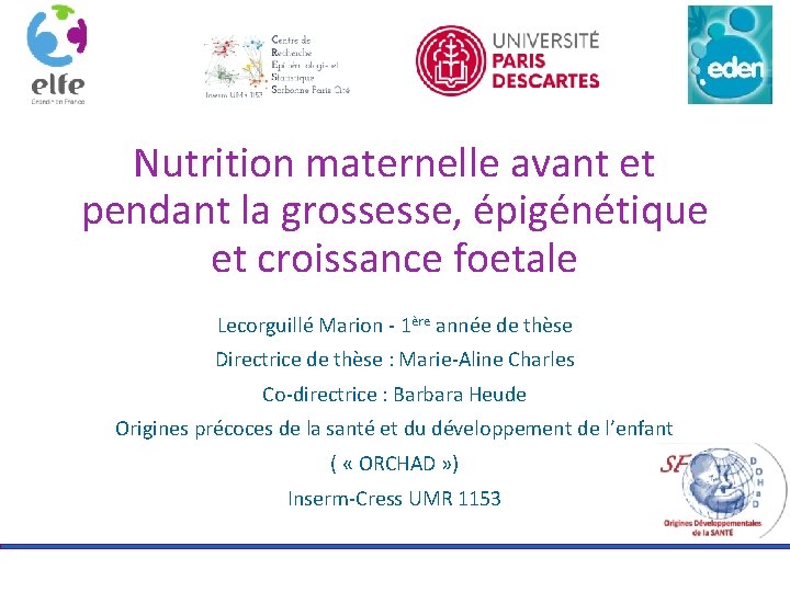 Nutrition maternelle avant et pendant la grossesse, épigénétique et croissance foetale Lecorguillé Marion -