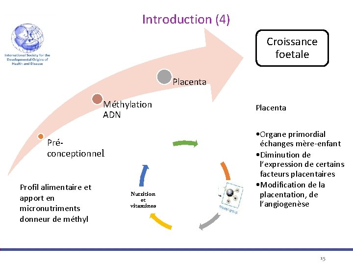  Introduction (4) Croissance foetale Placenta Méthylation ADN Préconceptionnel Profil alimentaire et apport en