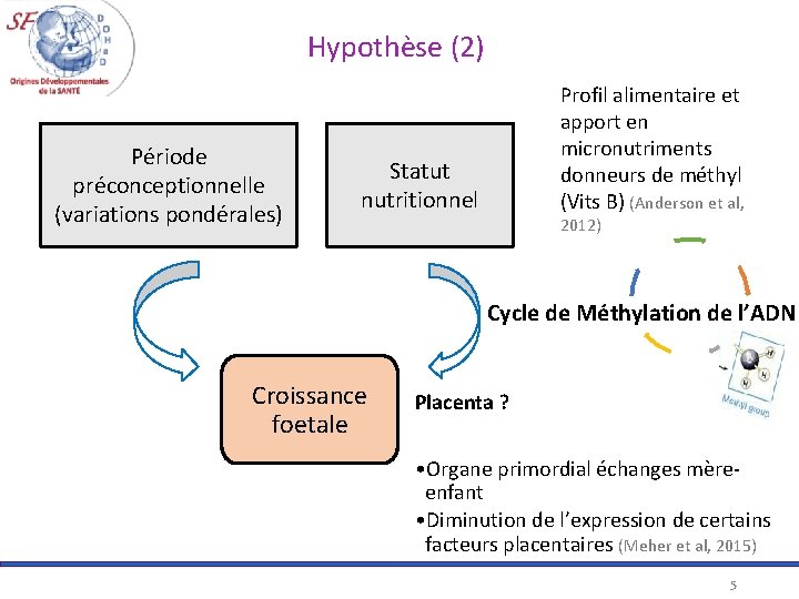  Hypothèse (2) Période préconceptionnelle (variations pondérales) Profil alimentaire et apport en micronutriments donneurs