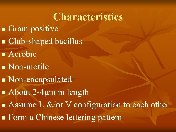 Characteristics Gram positive n Club-shaped bacillus n Aerobic n Non-motile n Non-encapsulated n About