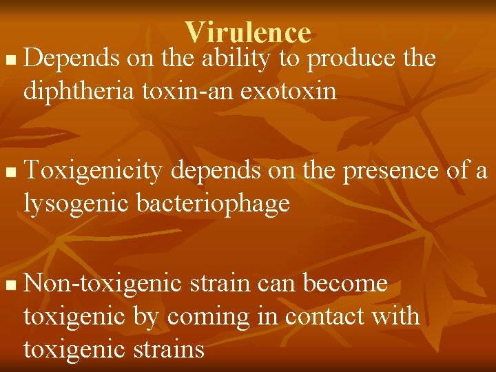 Virulence n n n Depends on the ability to produce the diphtheria toxin-an exotoxin