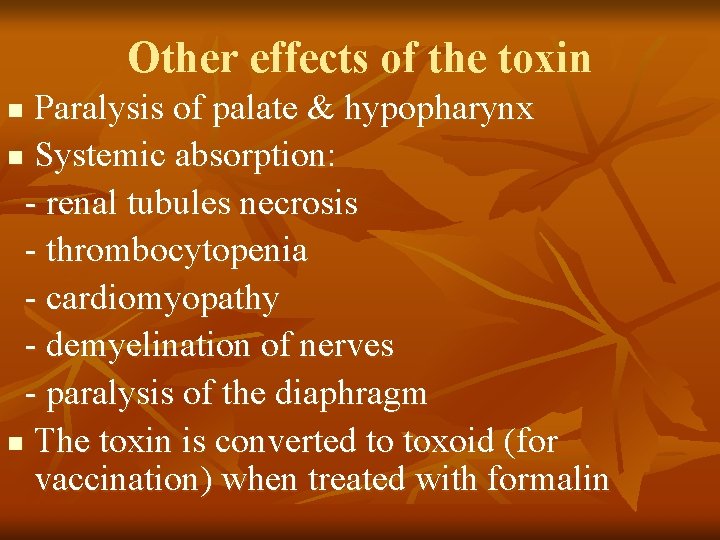 Other effects of the toxin Paralysis of palate & hypopharynx n Systemic absorption: -