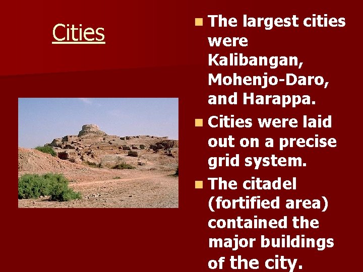 Cities n The largest cities were Kalibangan, Mohenjo-Daro, and Harappa. n Cities were laid