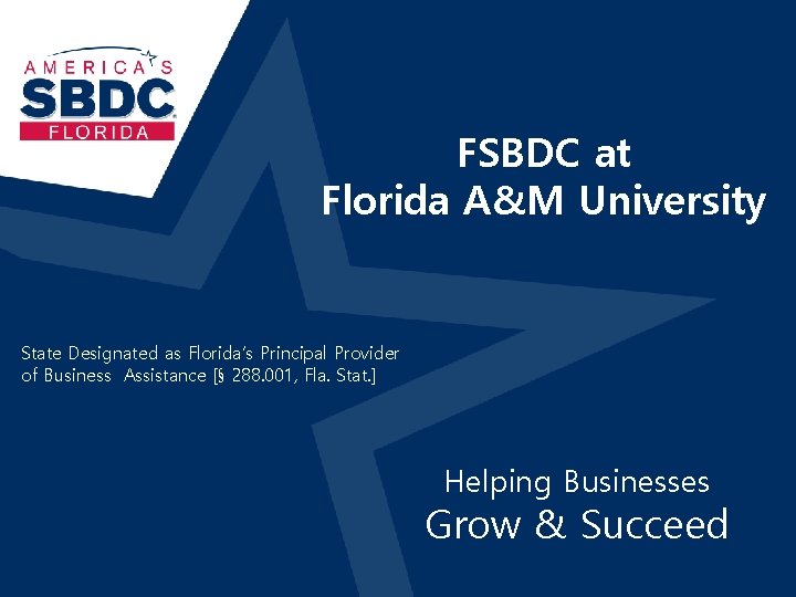 FSBDC at Florida A&M University State Designated as Florida’s Principal Provider of Business Assistance