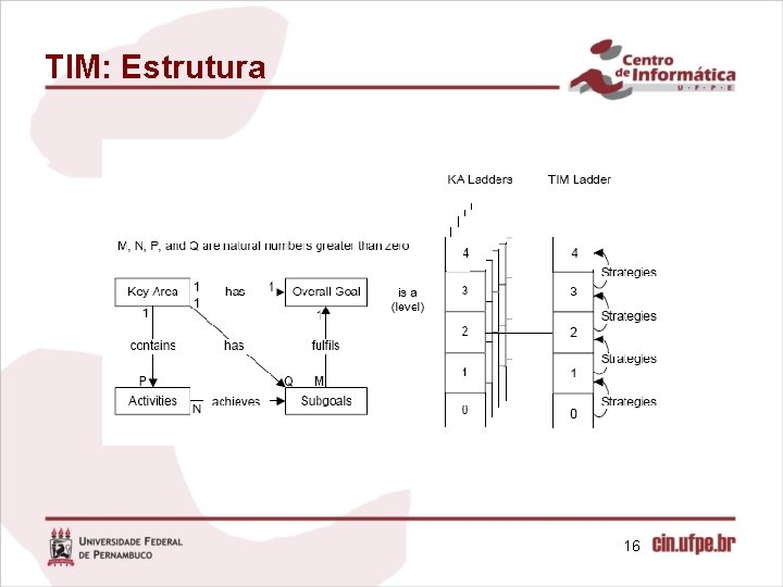 TIM: Estrutura 16 